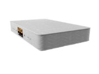 تشک رویال پانیک مدل آیسا (اکونومی)