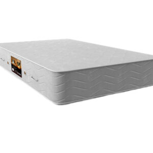 تشک رویال پانیک مدل آیسا (اکونومی)