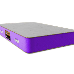 تشک رویال پانیک مدل پینار(طبی ریباندی)